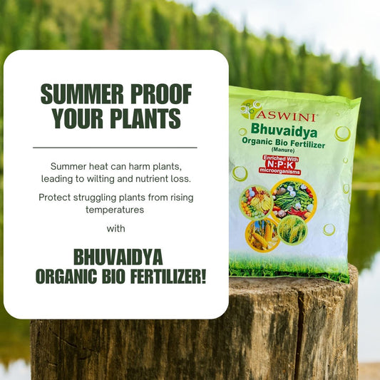 How to Protect Your Plants from Summer Heat with Organic Fertilizer