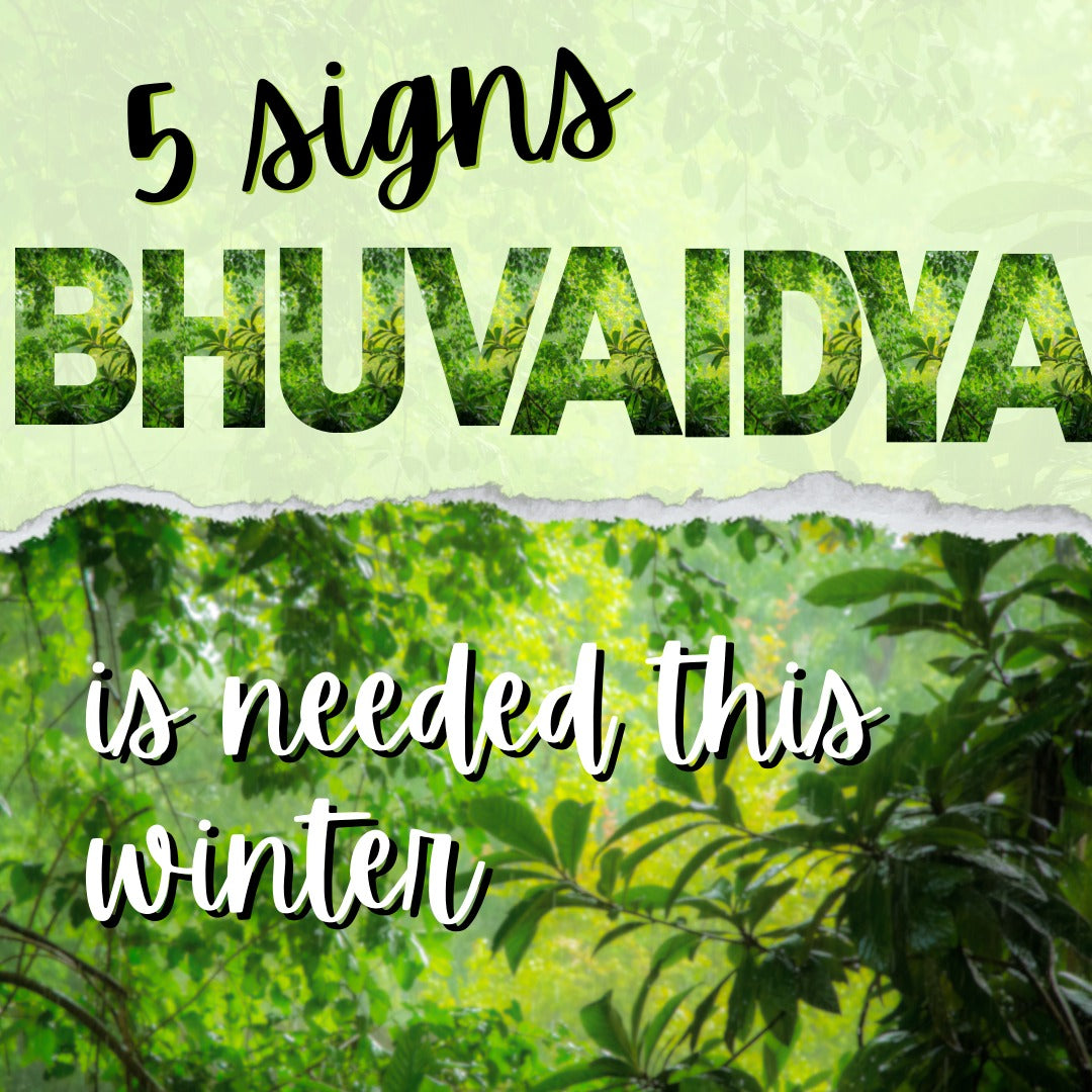 5 Signs Your Garden Needs Bhuvaidya This Winter: A Guide to Better Soil Health