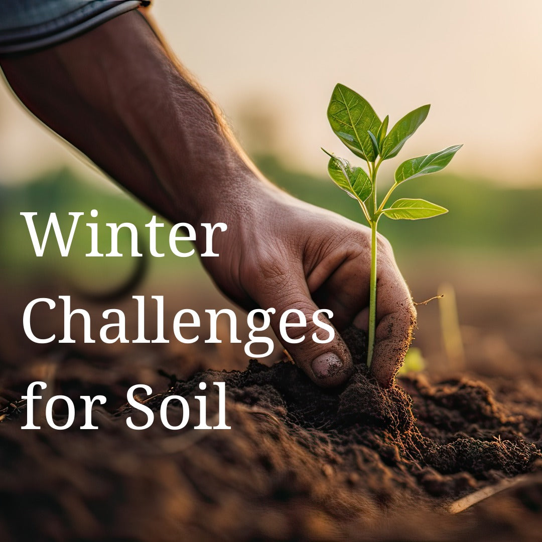 Winter Soil Challenges & How Bhuvaidya Helps: A Complete Guide