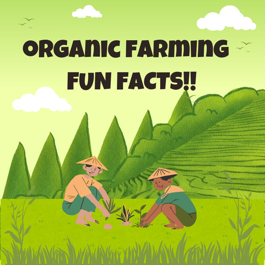 The Power of Organic Farming: More Than Just a Trend