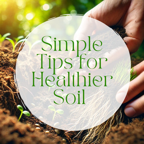 Simple Tips for Healthier Soil: A Practical Guide to Better Gardening