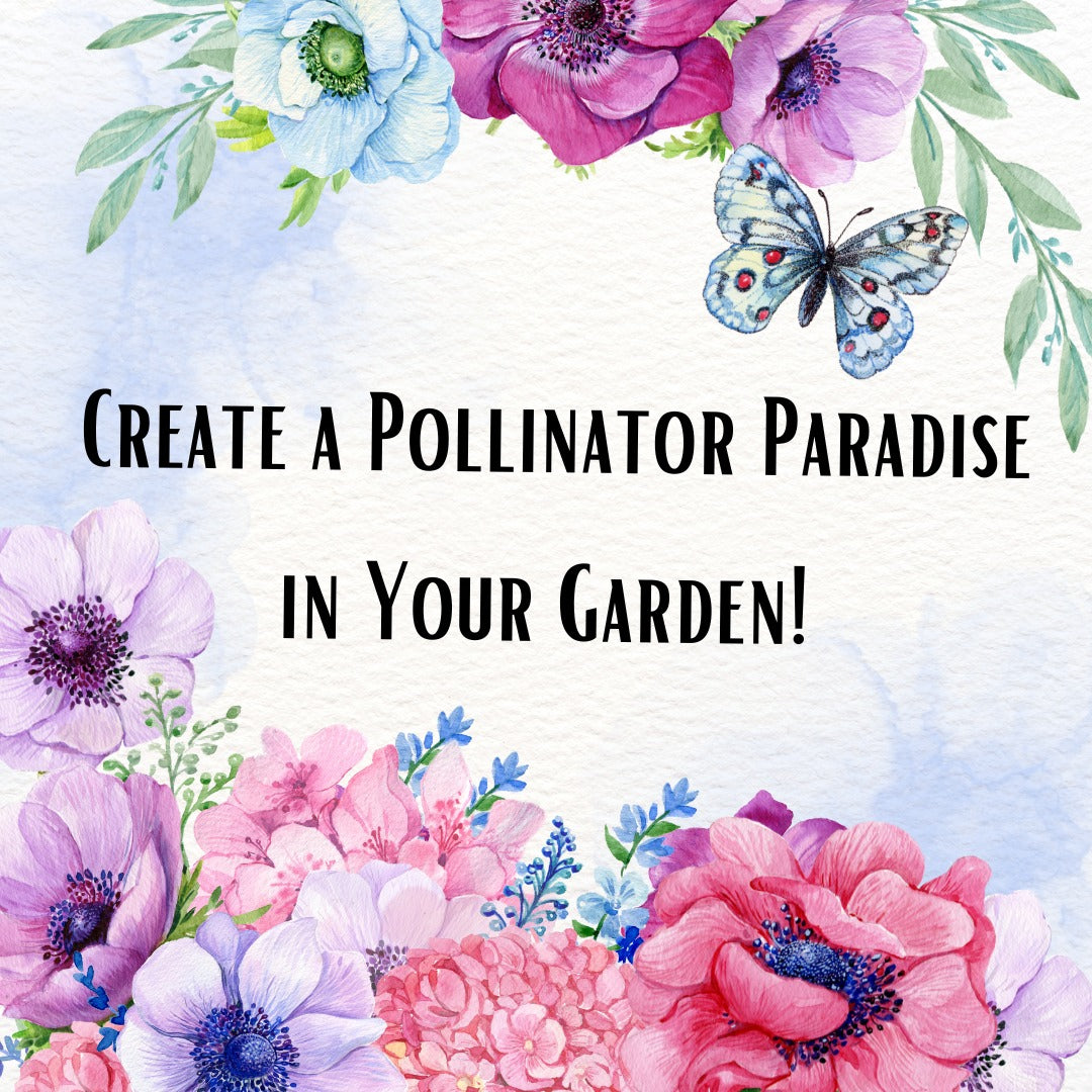 Create a Pollinator Paradise: Your Guide to a Butterfly-Friendly Garden