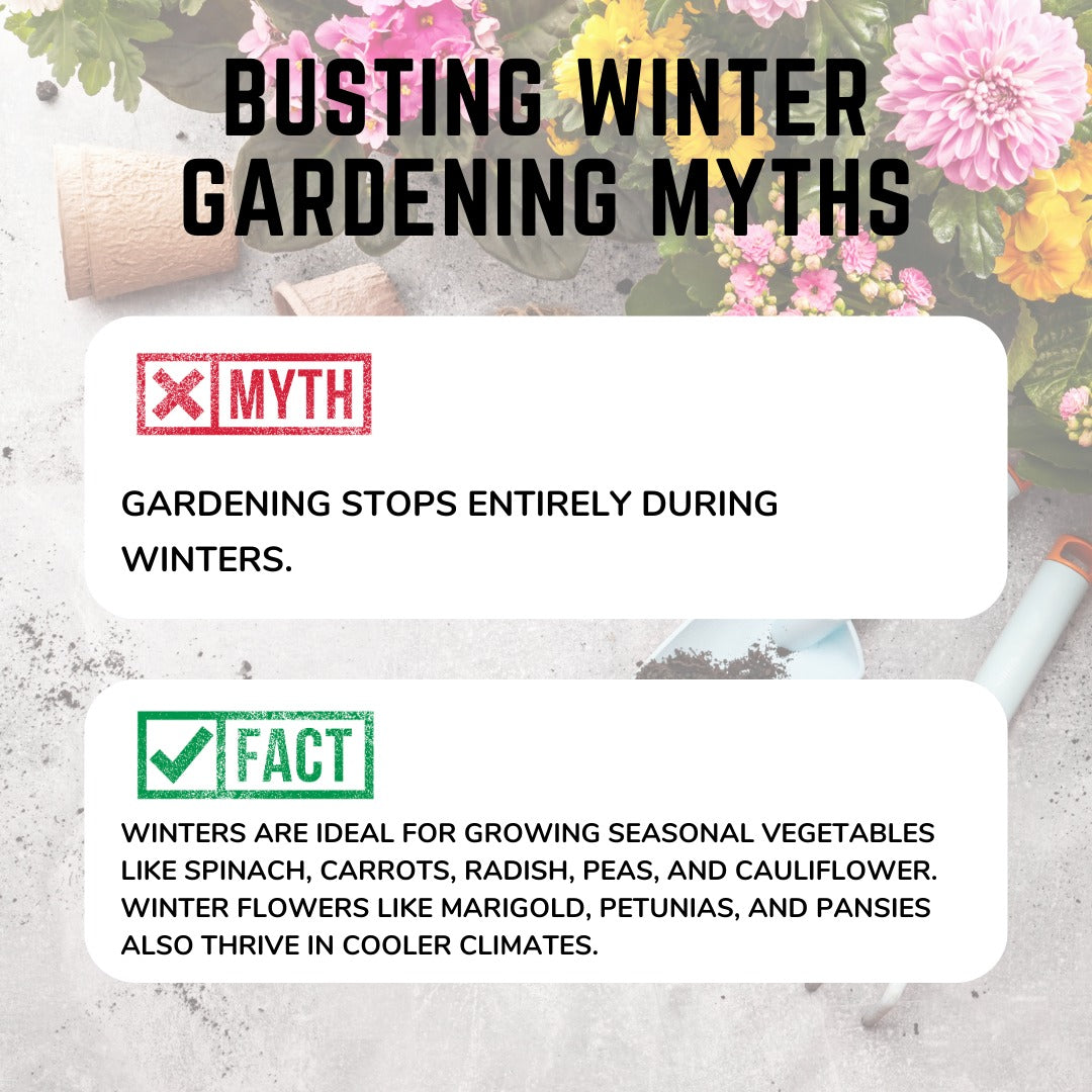 Busting Winter Gardening Myths: Separating Fact from Fiction