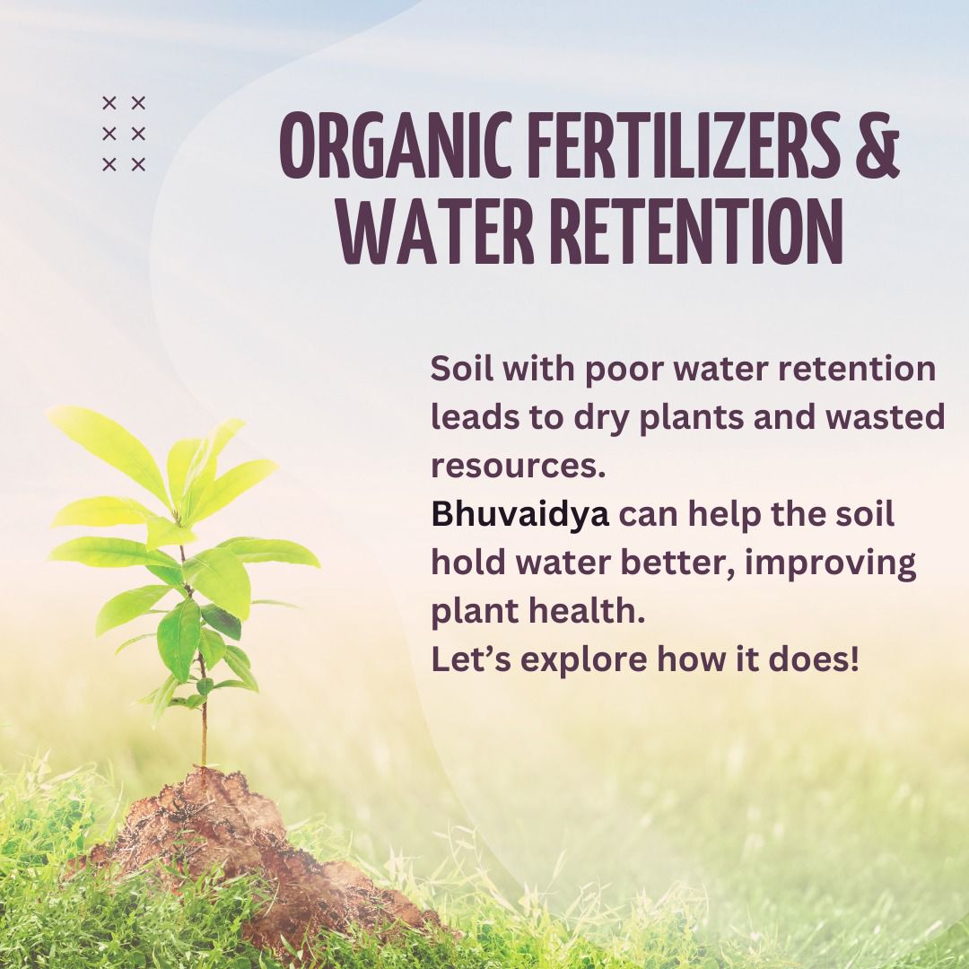 How Bhuvaidya Improves Soil Water Retention: A Guide to Better Moisture Management