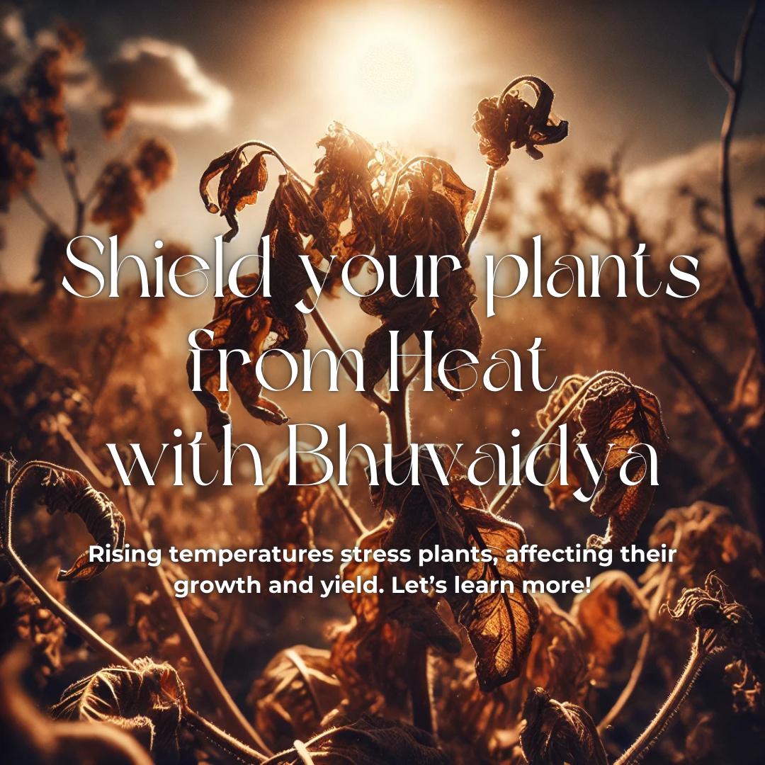 Protecting Your Garden from Heat Stress: The Bhuvaidya Solution