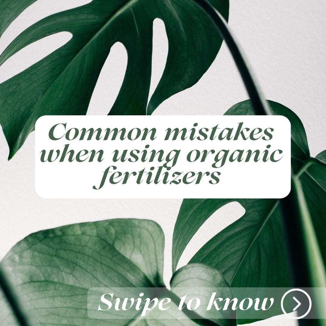 5 Common Mistakes to Avoid When Using Organic Fertilizers: A Guide to Better Results with Bhuvaidya