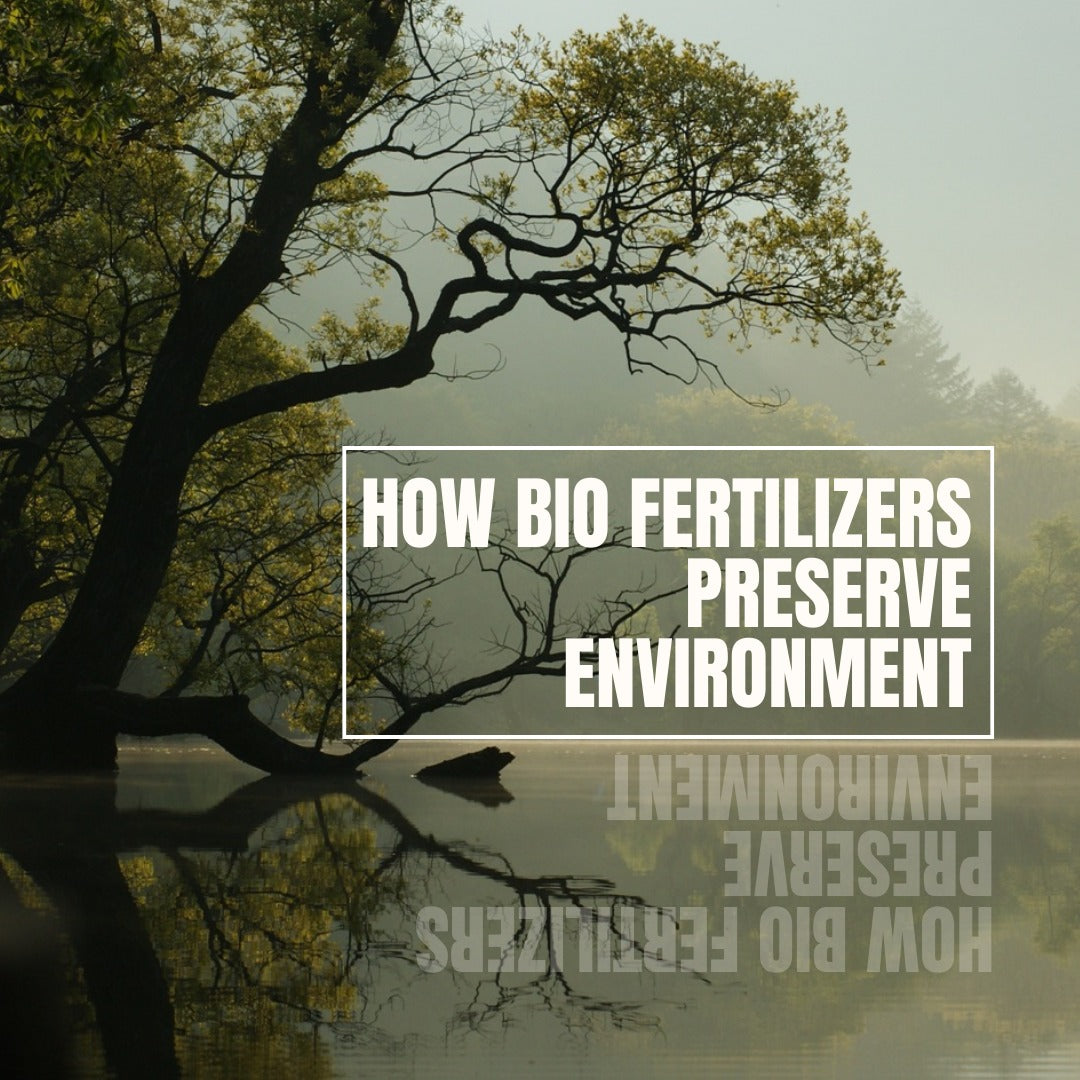 How Bio-Fertilizers Preserve Our Environment: A Natural Solution for Sustainable Agriculture