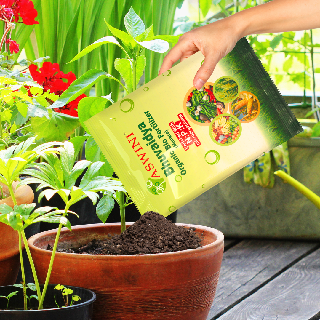 Aswini Bhuvaidya - Grow Better Plants, More Fruits, Vegetables and Flowers and Get Rid of Pests & Diseases