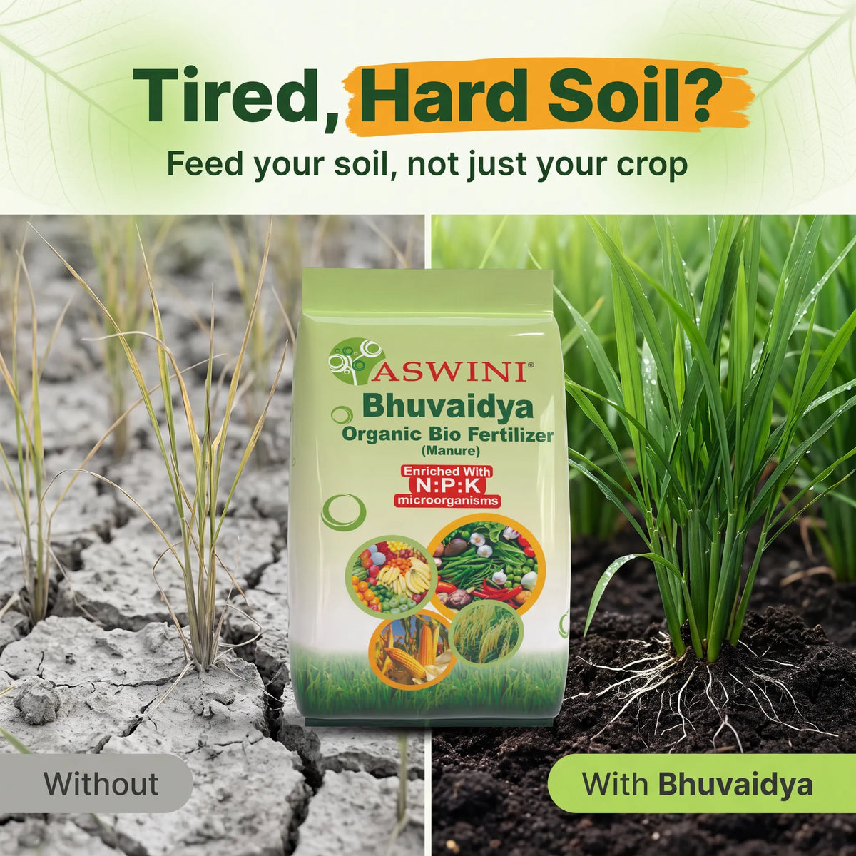 Bhuvaidya Organic Bio Fertilizer – Grow More, Spend Less, Stay Natural