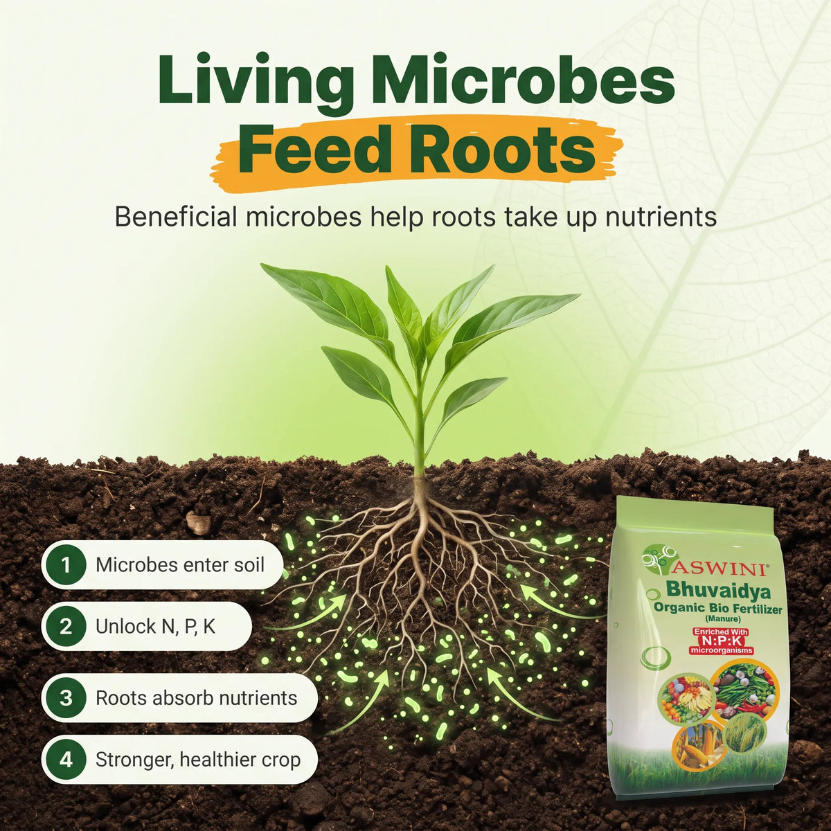 Bhuvaidya Organic Bio Fertilizer – Grow More, Spend Less, Stay Natural