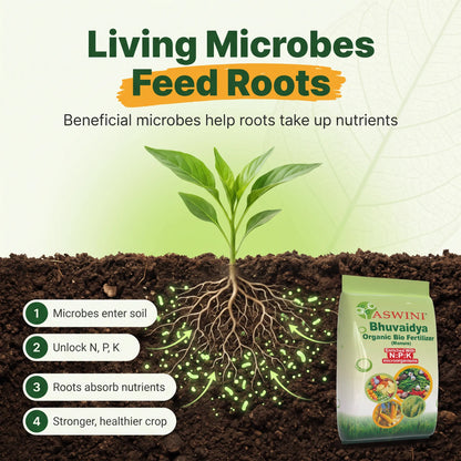 Bhuvaidya Organic Bio Fertilizer – Grow More, Spend Less, Stay Natural