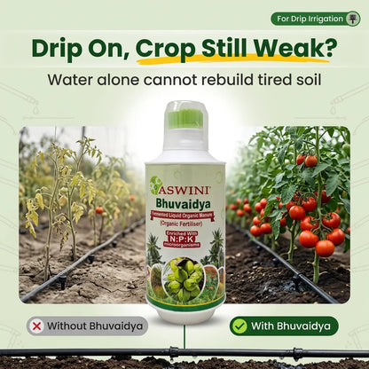 Aswini Bhuvaidya Organic Liquid Fertilizer