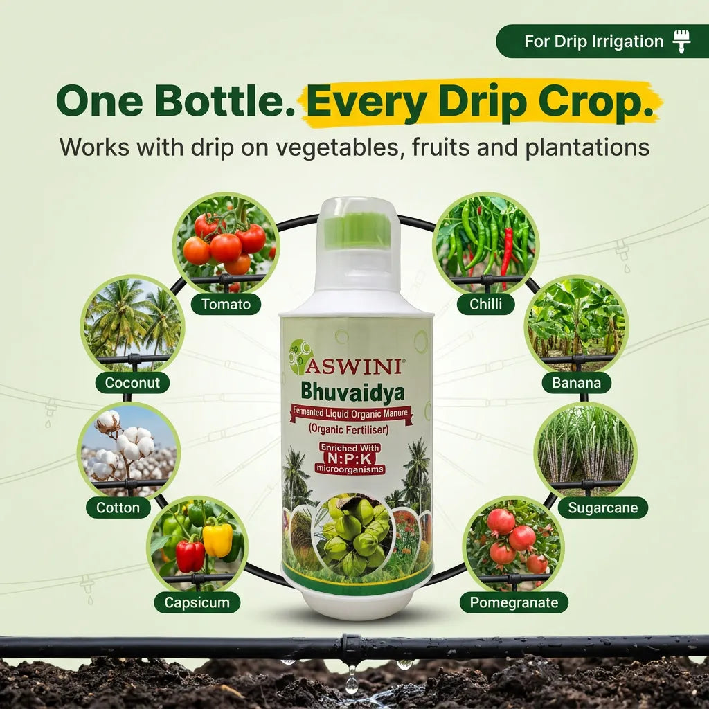 Aswini Bhuvaidya Organic Liquid Fertilizer