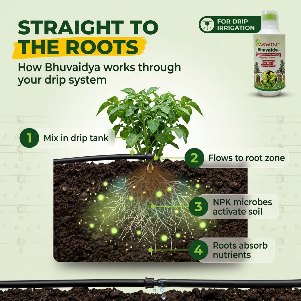 Aswini Bhuvaidya Organic Liquid Fertilizer