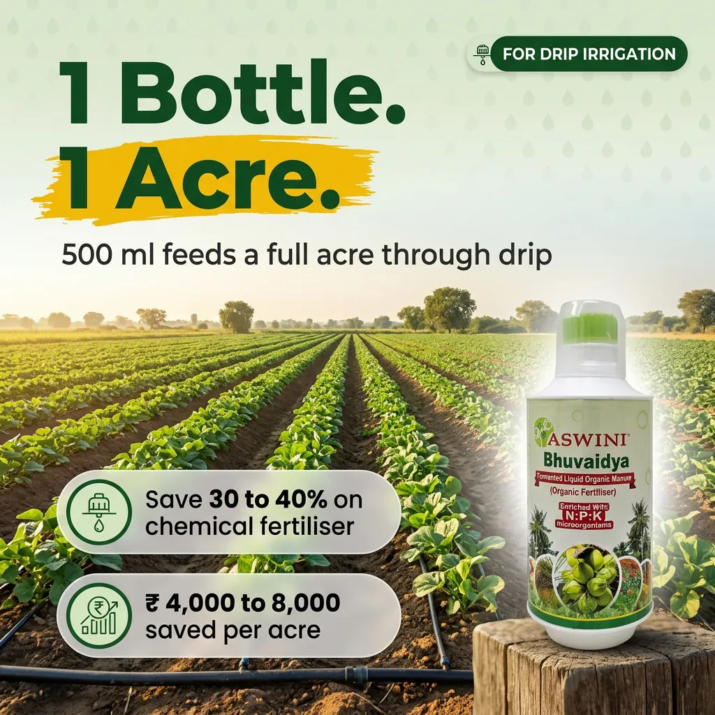 Aswini Bhuvaidya Organic Liquid Fertilizer