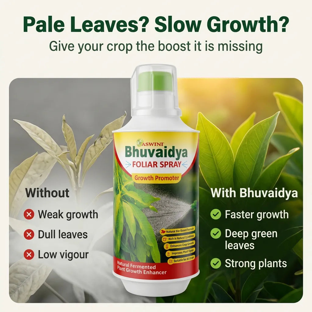 Aswini Bhuvaidya Foliar Spray - 1 Litre