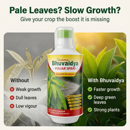 Aswini Bhuvaidya Foliar Spray - 1 Litre