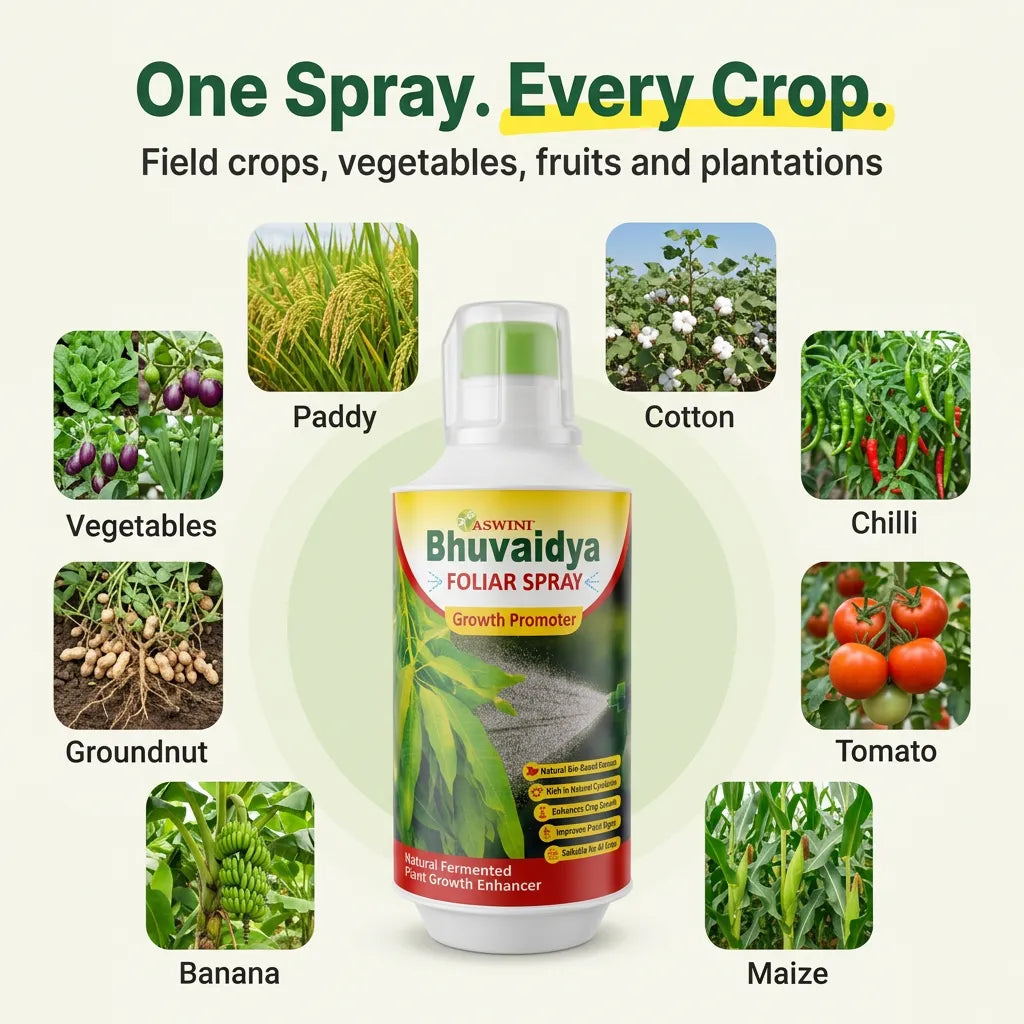 Aswini Bhuvaidya Foliar Spray - 1 Litre