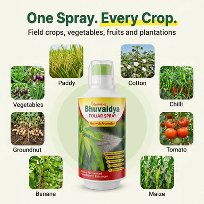 Aswini Bhuvaidya Foliar Spray - 1 Litre